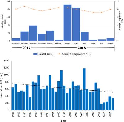 Plant Morphoecological Traits, Grass-Weed Interactions and Water Use Efficiencies of Grasses Used for Restoration of African Rangelands